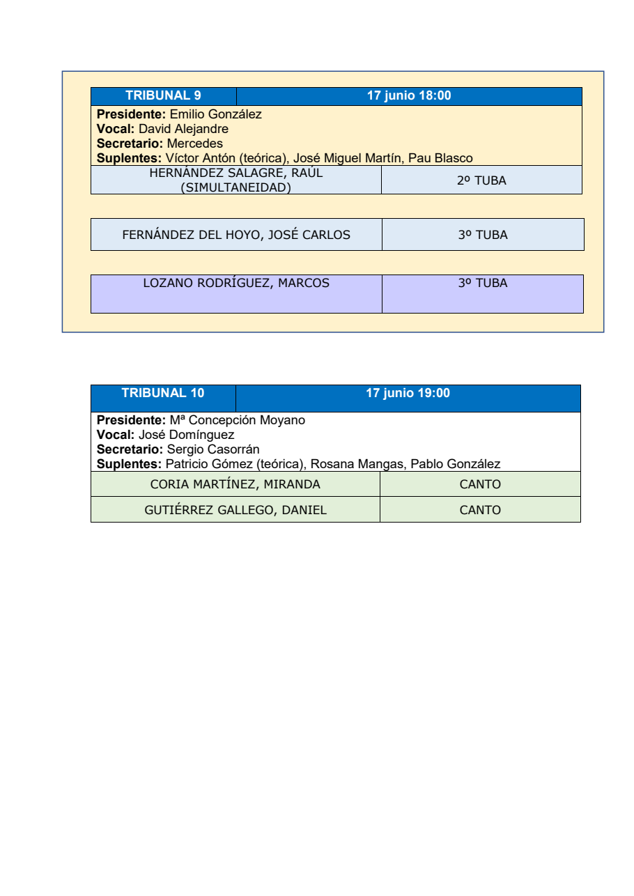 TRIBUNALES_PRUEBAS_ACESSO 5