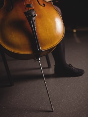 Violoncello